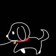 盲光的个人资料头像