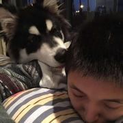 gavinczhang的个人资料头像