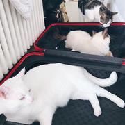 离离艾的个人资料头像