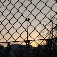 淡泊的橙子C1x头像