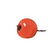 LinhZeng的个人资料头像