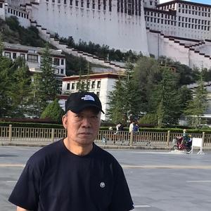 青林影视头像