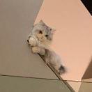 undefined的个人资料头像