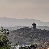 浪漫攻城狮bird头像