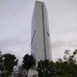 科迈罗79013481头像