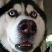 王彬397的个人资料头像