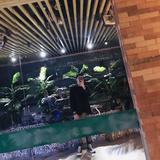 Imp木木头像