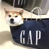 用户5133362943690头像