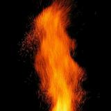 红红火火搬家公司头像