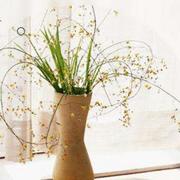 czbiao的个人资料头像