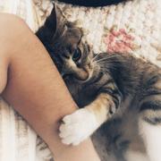 Xu725的个人资料头像