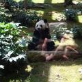 瓦力73999933头像