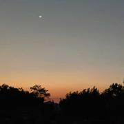 芋螺的个人资料头像