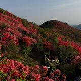 渔翁3276头像