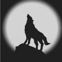 孤独的狼29405头像