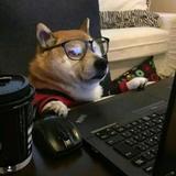 奋斗2896383099501头像