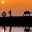 哈喽world的个人资料头像