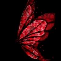 温柔钢笔2L5头像