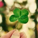 柯小金的个人资料头像