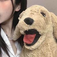 AK4885头像