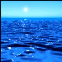 滨城逐浪客头像