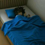 zzyyppqqAlexis的个人资料头像