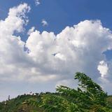 韩杰房产观头像