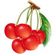 Arliang的个人资料头像