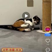 沈伟金的个人资料头像