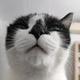 Mr. Tortoise头像