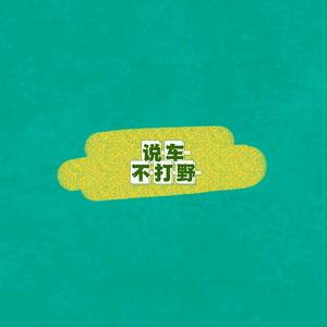 说車不打野头像