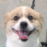 云觉435头像