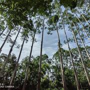 DUKELIU的个人资料头像