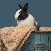 用户9823610790277的个人资料头像