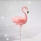 L49816的个人资料头像