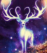 Galliano的个人资料头像