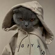 程序员kk的个人资料头像