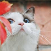 WM522的个人资料头像