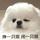 没事看看ol头像