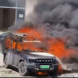 欢快橘子aTq头像