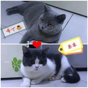骑山地的铲屎官头像