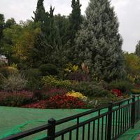 自由卡梅尔0B4头像