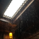 Covfefe的个人资料头像