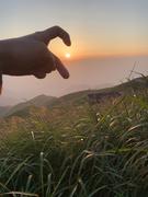 芒颖的个人资料头像