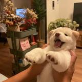 不是那个他78头像