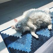 Lrrrrrrrrrrr的个人资料头像