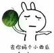 当午是哪个头像