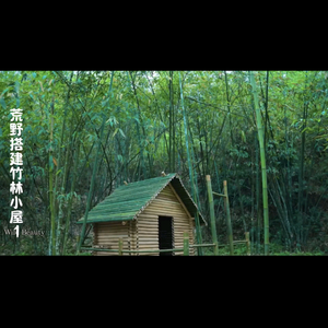 小三爷的野外生活头像