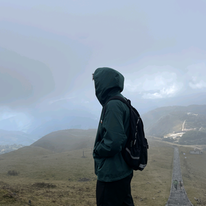 巷雨头像