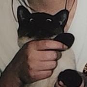 clean520的个人资料头像